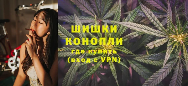 прущие крисы Козловка