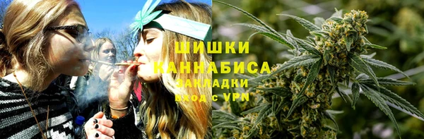 прущие крисы Козловка