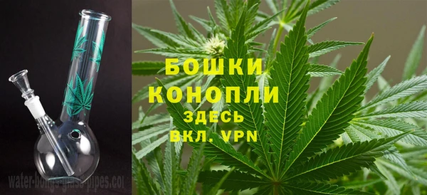 прущие крисы Козловка