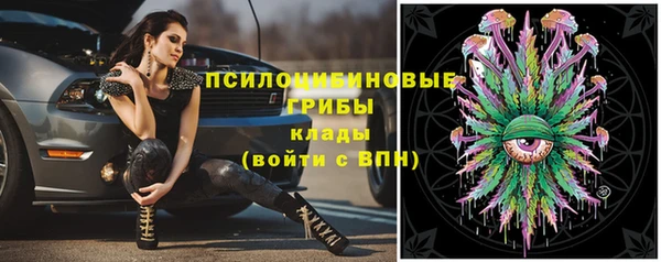 прущие крисы Козловка