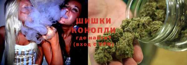прущие крисы Козловка